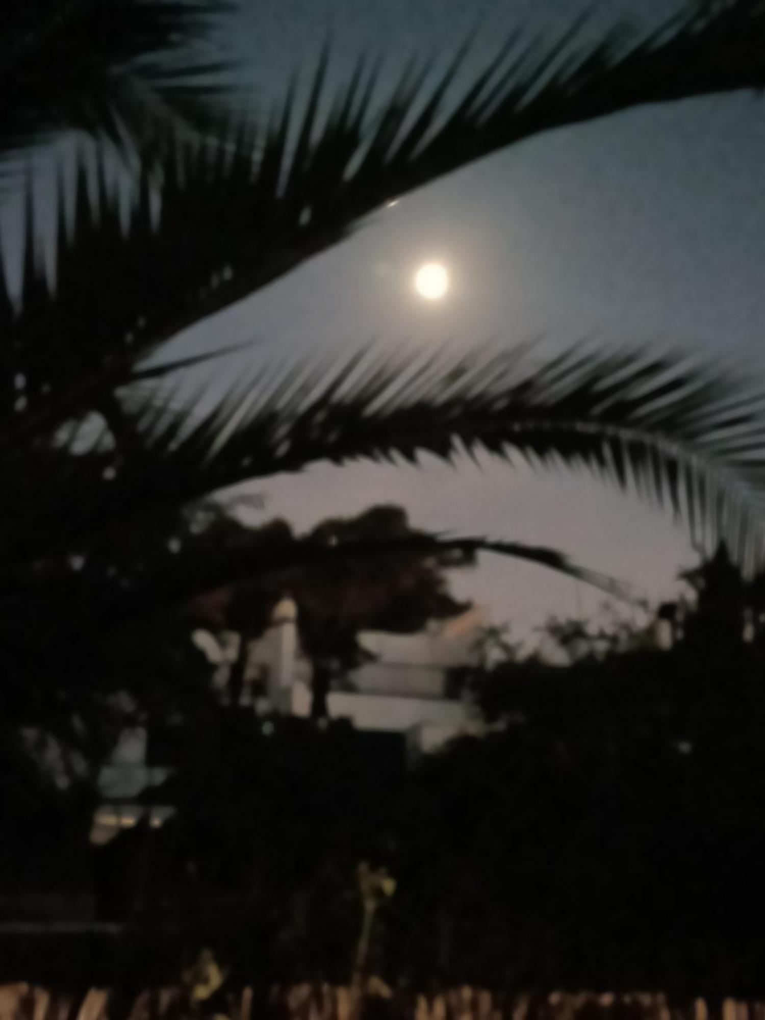 Casa Lua Apartman Conil de la Frontera Kültér fotó